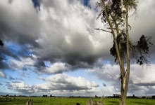 天津男篮新秀的出色表现引爆全场——让我们一起看看他们的辉煌之旅
