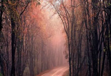 热刺锋线实力提升，多次进球带领球队胜利