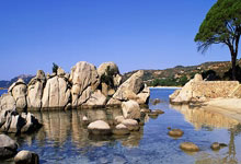 尤文图斯门将神勇扑救，护卫球门零封对手