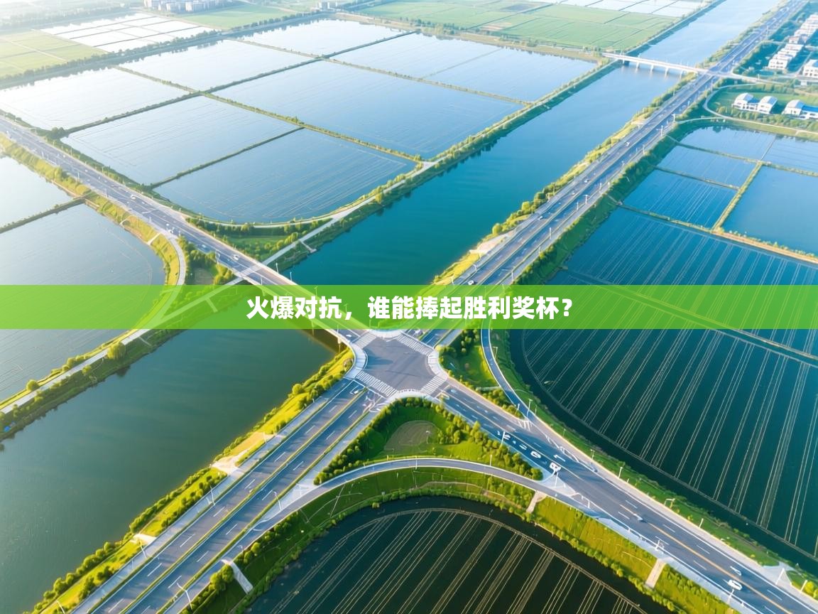 火爆对抗，谁能捧起胜利奖杯？  第2张