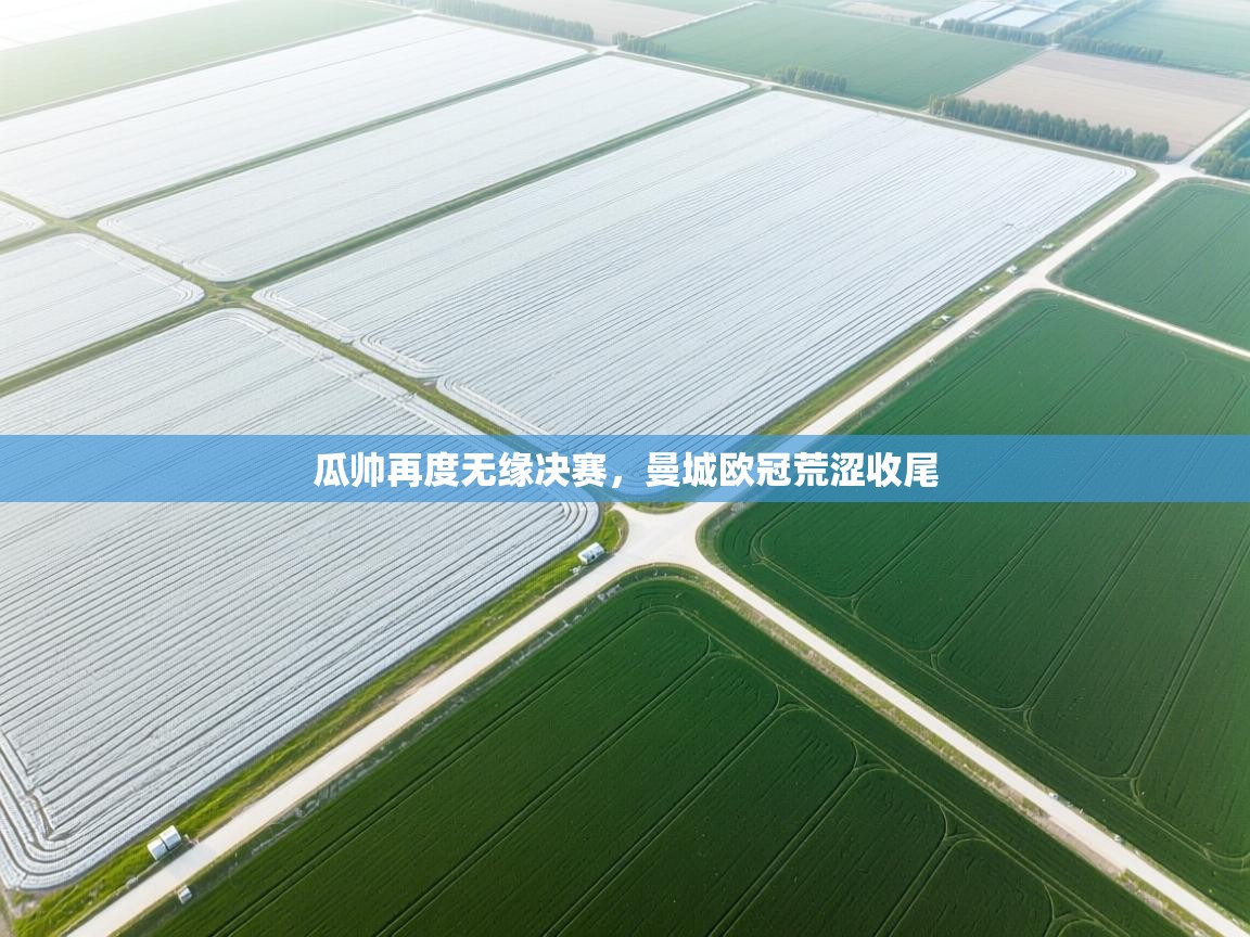 瓜帅再度无缘决赛,曼城欧冠荒涩收尾 第1张