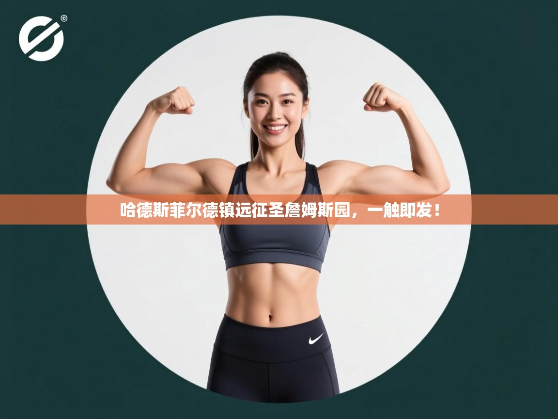 哈德斯菲尔德镇远征圣詹姆斯园，一触即发！  第1张