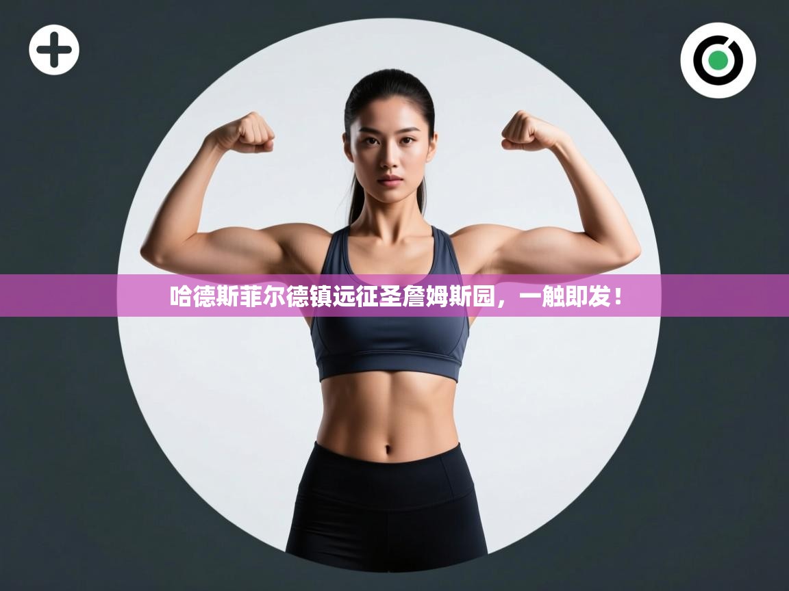 哈德斯菲尔德镇远征圣詹姆斯园，一触即发！  第2张