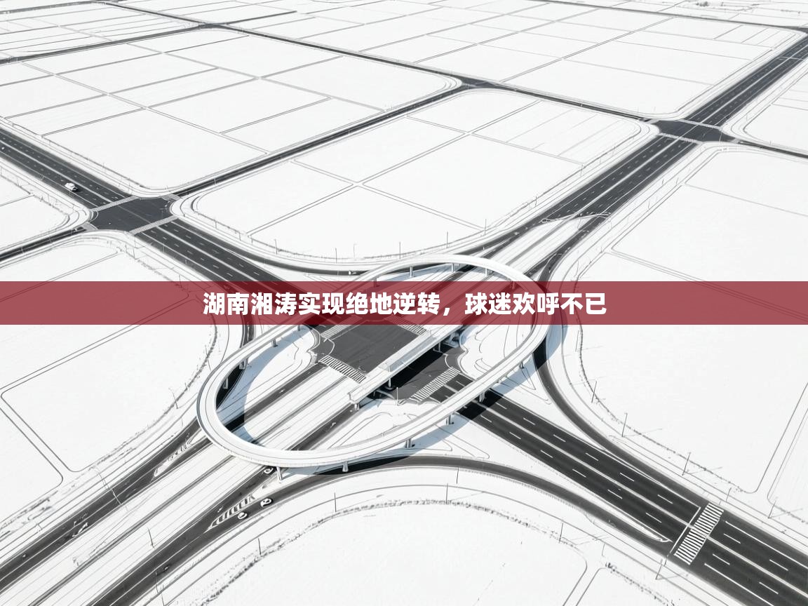 湖南湘涛实现绝地逆转，球迷欢呼不已  第1张