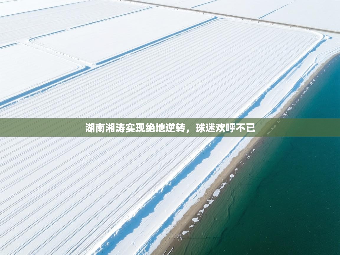 湖南湘涛实现绝地逆转，球迷欢呼不已  第2张